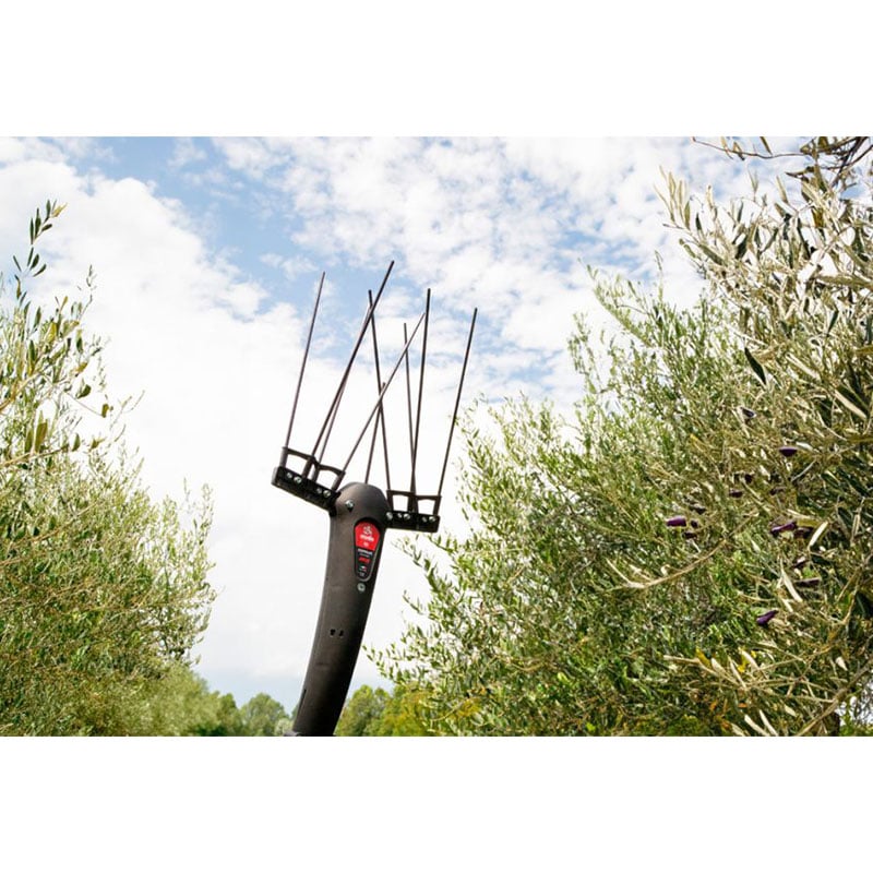 Abbacchiatore Scuotiolive Julia a Batteria 12V con asta Fissa Ausonia