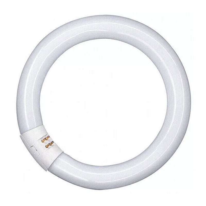 Neon fluorescente circolare 32w luce fredda G10q Imperia