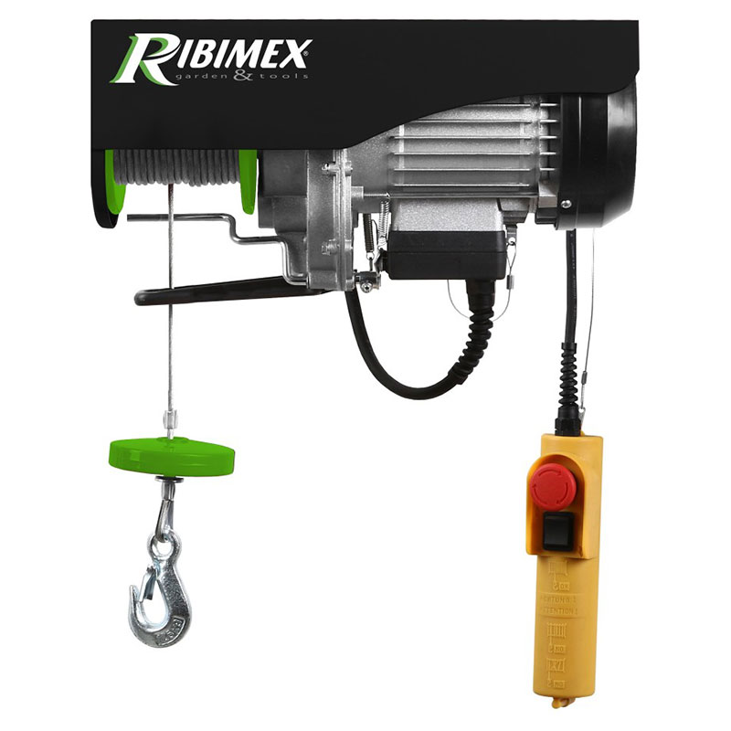 Paranco elettrico 125/250 kg Ribimex