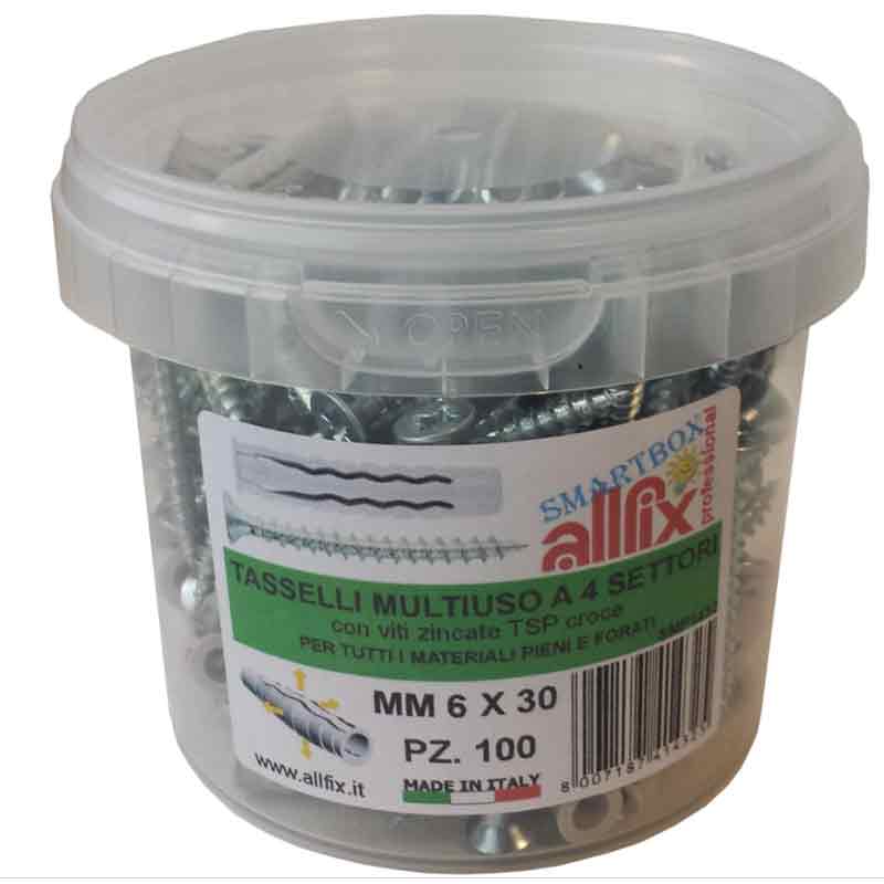 Tasselli In Nylon 6x30 mm Con Viti Allfix 100 Pz