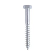 Tirafondo Per Legno 10 x 100 mm Friulsider 50 Pz