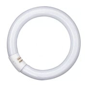 Neon fluorescente circolare 32w luce fredda G10q Imperia