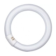 Neon fluorescente circolare 40w luce fredda G10q Leuci